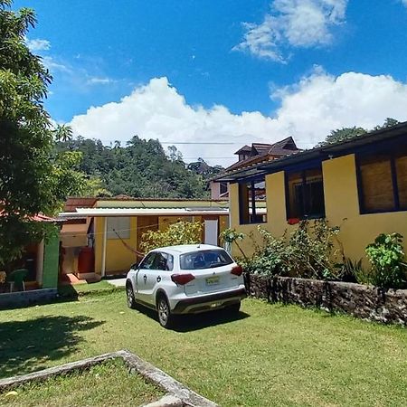 Las Avispas Conrado'S Guesthouse B&B المظهر الخارجي الصورة