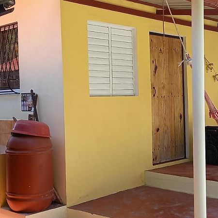 Las Avispas Conrado'S Guesthouse B&B المظهر الخارجي الصورة