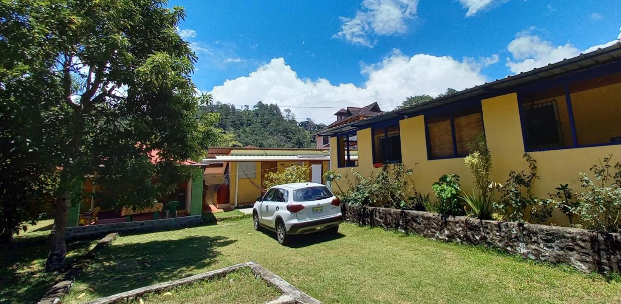 Las Avispas Conrado'S Guesthouse B&B المظهر الخارجي الصورة