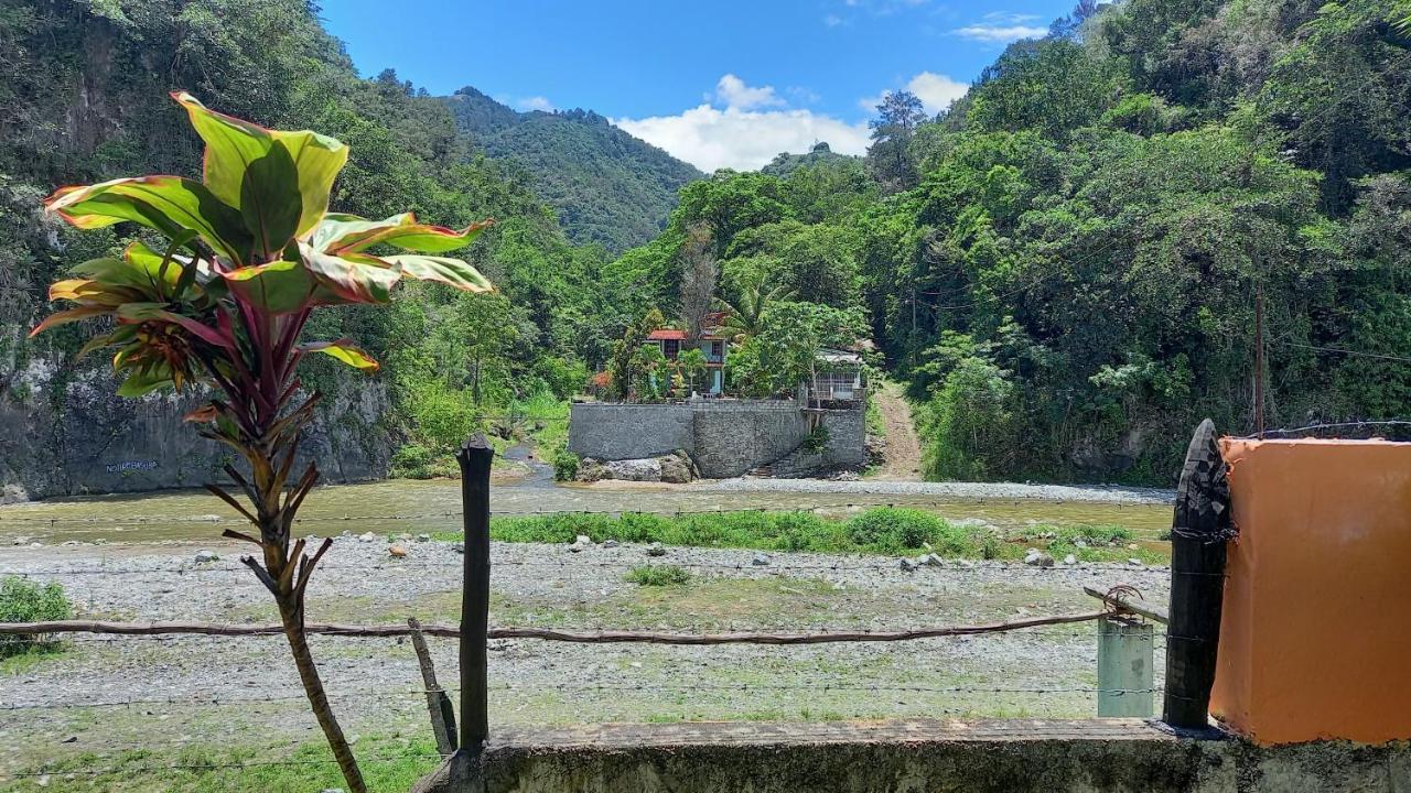 Las Avispas Conrado'S Guesthouse B&B المظهر الخارجي الصورة