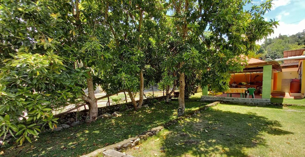 Las Avispas Conrado'S Guesthouse B&B المظهر الخارجي الصورة