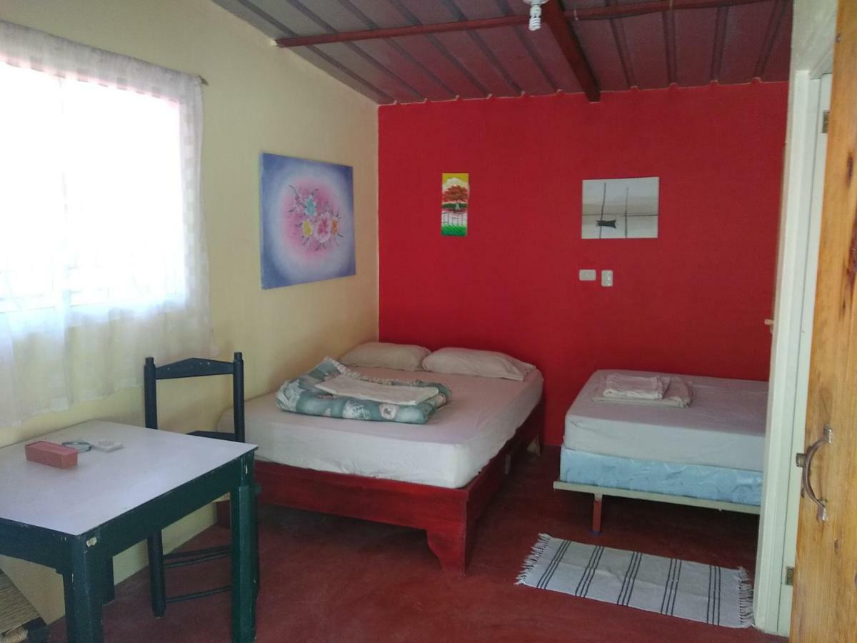 Las Avispas Conrado'S Guesthouse B&B المظهر الخارجي الصورة