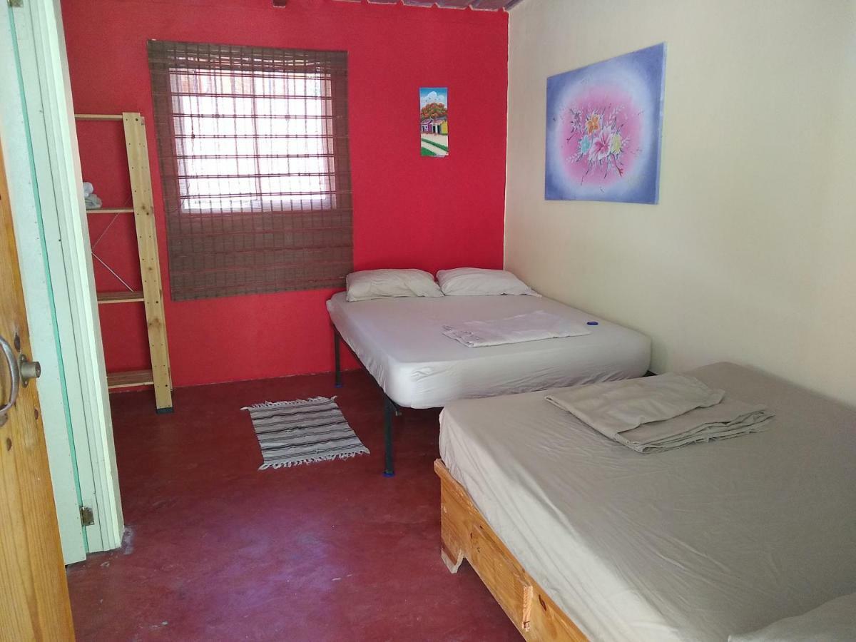 Las Avispas Conrado'S Guesthouse B&B المظهر الخارجي الصورة